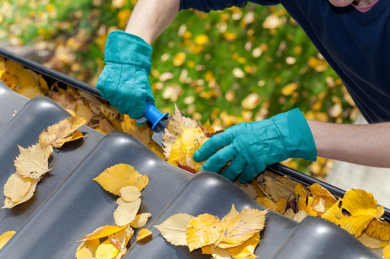 Cleaning Gutter Covers During Late Summer